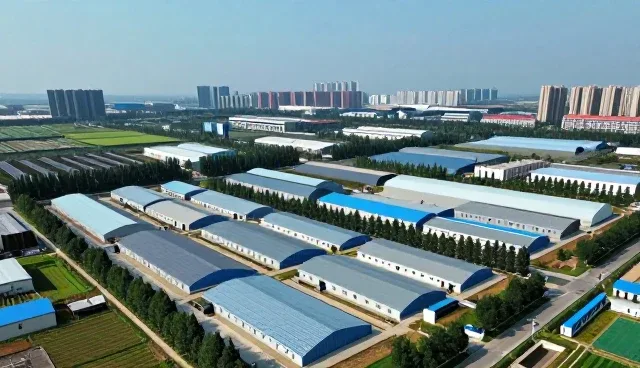 技术外包合作选型中的核心关注点解析
